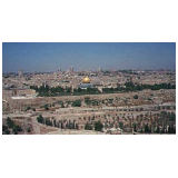 d07.jpg